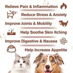 WACHRAY Hemp Oil for Dogs and Cats - Calming Drops Dog Relaxants - Help Pets with Anxiety Stress Sleep, Hip & Joints Support, Arthritis Sеizures Rеlief - Hеalth - Organic Pet Hemp Oil Drops (2 Pack)