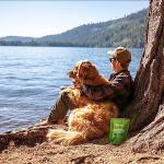 Zesty Paws OraStix for Dogs - Calming Dental Sticks for Stress with Hemp Melatonin Chamomile Dog Healthy Teeth and Gums Calm Composure for Fireworks and Thunderstorms - 25oz