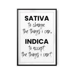 Sativa To Change The Things I Can Indica To Accept The Things I Can't 8" x 10" UNFRAMED Print Home Décor, Quote Wall Art