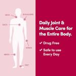 Penetrex Joint & Muscle Therapy - Soothing Muscle Rub for Back, Neck, Hands, Feet - Premium Whole Body Rub with Arnica, Vitamin B6 MSM & Boswellia - Non-Greasy 2oz Cream