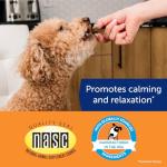 ThunderWunders Hemp Dog Calming Chews | Vet Recommended for Situational Anxiety | Fireworks, Thunderstorms, Travel & More | Made with Hemp Seed, Thiamine, L-Tryptophan, Melatonin & Ginger (60 Count)