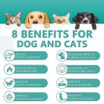 (3 Pack) Max Potency Hemp Oil for Dogs & Cats - Help Anxiety Stress Pain Inflammation Arthritis Aggressive Relax Sleep Allergies Seizures Relief - Treats Chews Joint & Hip - Organic Pet Calming Drops