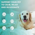 (3 Pack) Max Potency Hemp Oil for Dogs & Cats - Help Anxiety Stress Pain Inflammation Arthritis Aggressive Relax Sleep Allergies Seizures Relief - Treats Chews Joint & Hip - Organic Pet Calming Drops