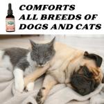 Pet Hemp Oil | Dogs and Cats | Wild Alaskan Salmon Hemp Oil | 1000MG Organic Tincture | 100% Natural | Hip, Joint, and Muscle Support for Your Pet | Aids with Skin, Coat, Anxiety, Stress, and Pain