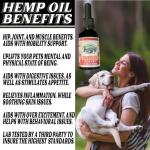 Pet Hemp Oil | Dogs and Cats | Wild Alaskan Salmon Hemp Oil | 1000MG Organic Tincture | 100% Natural | Hip, Joint, and Muscle Support for Your Pet | Aids with Skin, Coat, Anxiety, Stress, and Pain