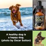 Buster's Gold Organic Hemp Oil, 2 Large 60ml Bottles 4Month Supply, for Dogs Pets, Made in USA - Miracle Formula, Perfectly Balanced Omega 3, 6, 9 - Joint Relief, Calming (2-Pack)