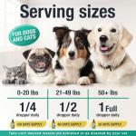 Hemp Oil for Pets - Eases Anxiety and Pain