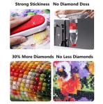 DIY 5D Diamond Art Kits for Adults，Scandinavian Dwarf Diamond Art Painting Kit Full Drill Round Paint by Diamond Kits for Kids Leisure Arts Art Craft Set 12x16inch