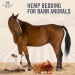 Dominion Hemp Premium Hemp Bedding for Chicken Coops 2 Cubic Feet (57L) - USA-Grown & Processed - Nesting Boxes for Chickens, Rabbits, Guinea Pigs, Hamsters, Reptiles, and Brooders - 6.6 lb. - 1 Pack