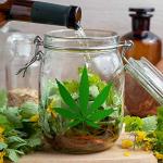 3-Piece Pot Leaf Stencil Set - Reusable Weed Leaf Painting Stencil for DIY Wall Crafts