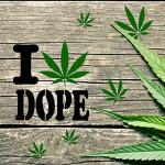 3-Piece Pot Leaf Stencil Set - Reusable Weed Leaf Painting Stencil for DIY Wall Crafts