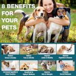 Pet Hemp Oil for Dogs and Cats - Anxiety Stress Pain Holistic Inflammation Relief - for Joint Hip Arthritis, Natural Calming Oil Drop - Organic Pets Treats