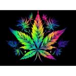 Colorful Luminescence Marijuana 5D Diamond Art Painting by Number Kits for Adults DIY Paint with Round Full Drill Diamond Gems Painting Art Craft for Home Wall Decor 11.8x15.8inch(1)