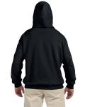 Indica Plateau THC Molecule Large Black Unisex Hoodie