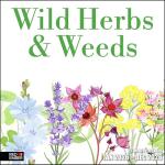 RED EMBER Wild Herbs & Weeds 2026 Wall Calendar 12 Month | 12" x 24" Open | Thick & Sturdy Paper | Holiday Gift | Art Nature Calendar 2026