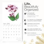 RED EMBER Wild Herbs & Weeds 2026 Wall Calendar 12 Month | 12" x 24" Open | Thick & Sturdy Paper | Holiday Gift | Art Nature Calendar 2026