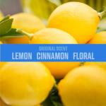 Ozium 8 Oz. Air Sanitizer & Odor Eliminator for Homes, Cars, Offices and More, Original Scent, Pack of 2