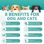 Dog Pet Oil - 2 Pack for Health