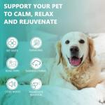 Dog Pet Oil - 2 Pack for Health