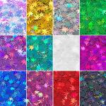 12 Pack - Metallic Rainbow Holographic Leaf Glitter - Solvent Resistant & Cosmetic Grade - Face Body Nails Resin Arts & Crafts, Tumblers, Bath Bombs, Resin - Weed Pot Marijuana Leaf