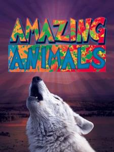Amazing Animals