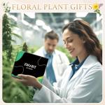 Zmart Weed Gift for Men - Funny Marijuana Cannabis Pot Leaf Gifts, Weed Marijuana Pot Leaf Socks