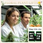 Zmart Weed Gift for Men - Funny Marijuana Cannabis Pot Leaf Gifts, Weed Marijuana Pot Leaf Socks