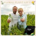 Zmart Weed Gift for Men - Funny Marijuana Cannabis Pot Leaf Gifts, Weed Marijuana Pot Leaf Socks