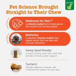 Zesty Paws Dog Allergy Relief - Anti Itch Supplement - Omega 3 Probiotics for Dogs - Salmon Oil Digestive Health - Soft Chews for Skin & Seasonal Allergies - with Epicor Pets – Hemp - 90 Count…