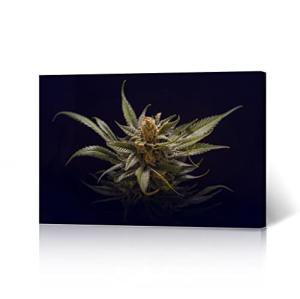 HB Art Design Marijuana Plant in Black Smoke Weed Canvas Wall Art Print Living Room Bedroom Man Cave Garage Cannabis Hemp Hippie Decor Stoner Gift Ready to Hang 8x12