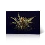 HB Art Design Marijuana Plant in Black Smoke Weed Canvas Wall Art Print Living Room Bedroom Man Cave Garage Cannabis Hemp Hippie Decor Stoner Gift Ready to Hang 8x12