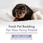 Petkin Hemp Fragrance for Dogs and Cats - with Hemp Oil & Calming Lavender Extract, 8 oz - Soothes, Calms & Conditions - Keeps Pet Smelling Great - for Home, Travel & Use on Pet Bedding