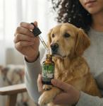 Pawgus Hemp Оil for Dogs Cats%100 Organic Advanced Calming Supplement, Helps Pets with Аnxiеty, Hyperactivity, Strеss, Аrthritis - Sеizures, Pain Relief - Skin Care - Storms, Fireworks - Canine