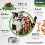 Pawgus Hemp Оil for Dogs Cats%100 Organic Advanced Calming Supplement, Helps Pets with Аnxiеty, Hyperactivity, Strеss, Аrthritis - Sеizures, Pain Relief - Skin Care - Storms, Fireworks - Canine