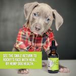 Hemp Dog Health HEAL - Pet Hemp Oil for Dogs - Immune System & Senior Dog Support - Neurological & Adrenal Balance - Daily Wellness Drops