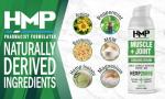 HMP BRANDS Hemp Cream Muscle & Joint Support 2000MG Hemp Discomfort Relief Formula w Menthol Ideal for Knee Muscle Joint Back Shoulder Elbow Maximum Joint Support, Natural Formula Made in USA 2.1oz