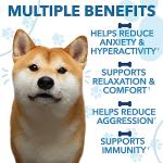 Hemp Calming Chews for Dogs with Anxiety and Stress - 360 Soft Dog Calming Treats - Dog Anxiety Relief - Storms, Fireworks, Thunder, Barking, Separation Aid - Valerian Root - L-Tryptophan - Hemp Oil
