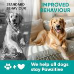 Hemp Calming Chews for Dogs - Dog Calming Chews for Anxiety Relief, Stress, Separation, Fireworks, Thunder, Travel, Vet Visits - USA Product - 120 Soft Treats with Melatonin, Chamomile, Passion Flower