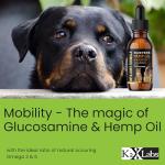 K2xLabs Hemp Oil for Dogs - Joint Support with Glucosamine - Hip and Joint Supplement for Cats - Liquid Bacon Flavor - 2 Pack 2 Month Supply Natural Pet Wellness