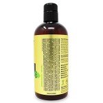 PURA D'OR 16 Oz Advanced Therapy Shampoo Reduces Hair Thinning & Increases Volume, No Sulfate, Biotin Shampoo Infused with Argan Oil, Aloe Vera for All Hair Types, Men & Women