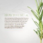 Mielle Organics Rosemary Mint Strengthening Conditioner with Biotin, 12 Ounce