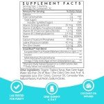 Sugarbear Hair Vitamin Gummy 1 Month Supply Extra Strength Biotin 6000mcg, Growth for Men & Women, Vegan Vitamin B12, MSM, Inositol, Omega 3, Elderberry, Certified Kosher, Halal, Cruelty-Free