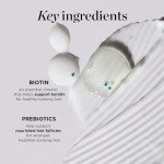 Dr. Groot Hair Thickening Shampoo, Korean Hair Care with Biotin, Rosemary Oil to Help Volumize Thinning, Damaged Hair, Hydrate Hair and Scalp, Biotin Shampoo, Scalp Revitalizing Solution