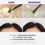 Dr. Groot Hair Thickening Shampoo, Korean Hair Care with Biotin, Rosemary Oil to Help Volumize Thinning, Damaged Hair, Hydrate Hair and Scalp, Biotin Shampoo, Scalp Revitalizing Solution