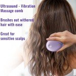 Scalp Massager Hair Growth Comb - Hair Care Brush for Dandruff Removal - Built-in Anion Device -Rechargeable - Electric Hair Follicle Stimulation Tool - Gifts for Men and Women to Relax Head Stress