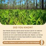 Gesundgeist Saw Palmetto for Women Hair Loss - DHT Blocker with 5-in-1 Blend for Hair Growth, Skin & Nails, Urinary Wellness - Extra Strength Saw Palmetto Supplement - 90 Capsules