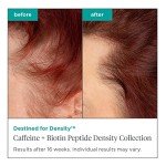 Briogeo Destined For Density Caffeine + Biotin Peptide Density Shampoo, Increases Hair Thickness and Density for Fine or Thinning Hair, Vegan, Cruelty-Free, 8 fl oz