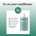 Maple Holistics Biotin Rosemary Conditioner - Vegan, Sulfate-Free, Moisturizing & Volumizing for Fine, Weak, & Dull Hair (16 Fl Oz)