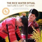 Svvimer Rice Water Hair Growth Shampoo - Biotin Thickening Shampoo for Hair Loss and Thinning - Sulfate Free for Women and Men 10 Fl Oz (Pack of 1)