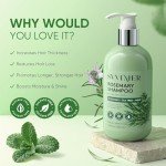 Svvimer Rosemary Hair Growth Shampoo - Thickening Shampoo with Biotin Tea Tree Oil Mint for Hair Loss and Thinning Hair - for Women and Men 11.8 Fl Oz (Pack of 1)